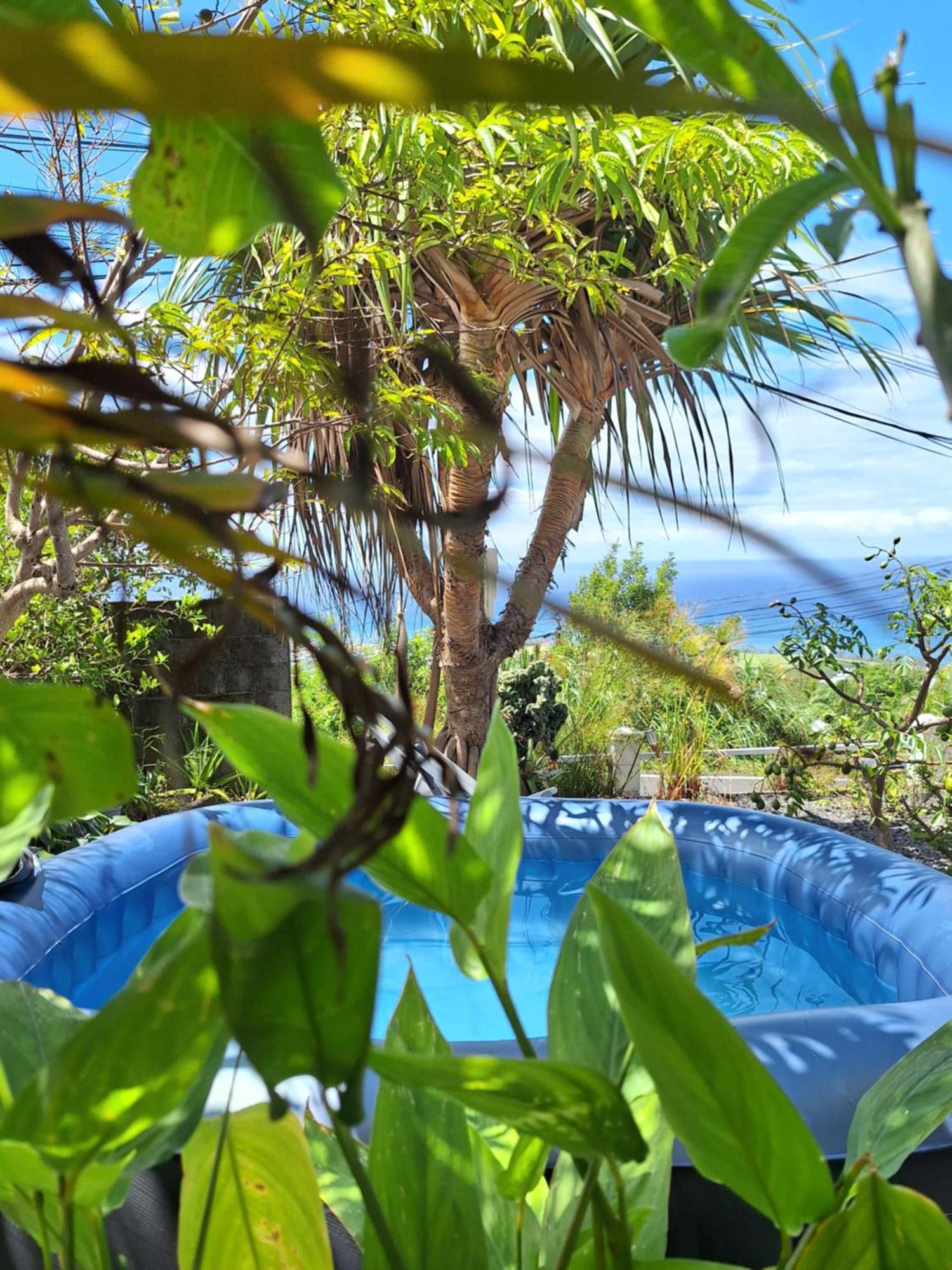 Le Cocon De Madana Apartment Saint-Joseph Bagian luar foto