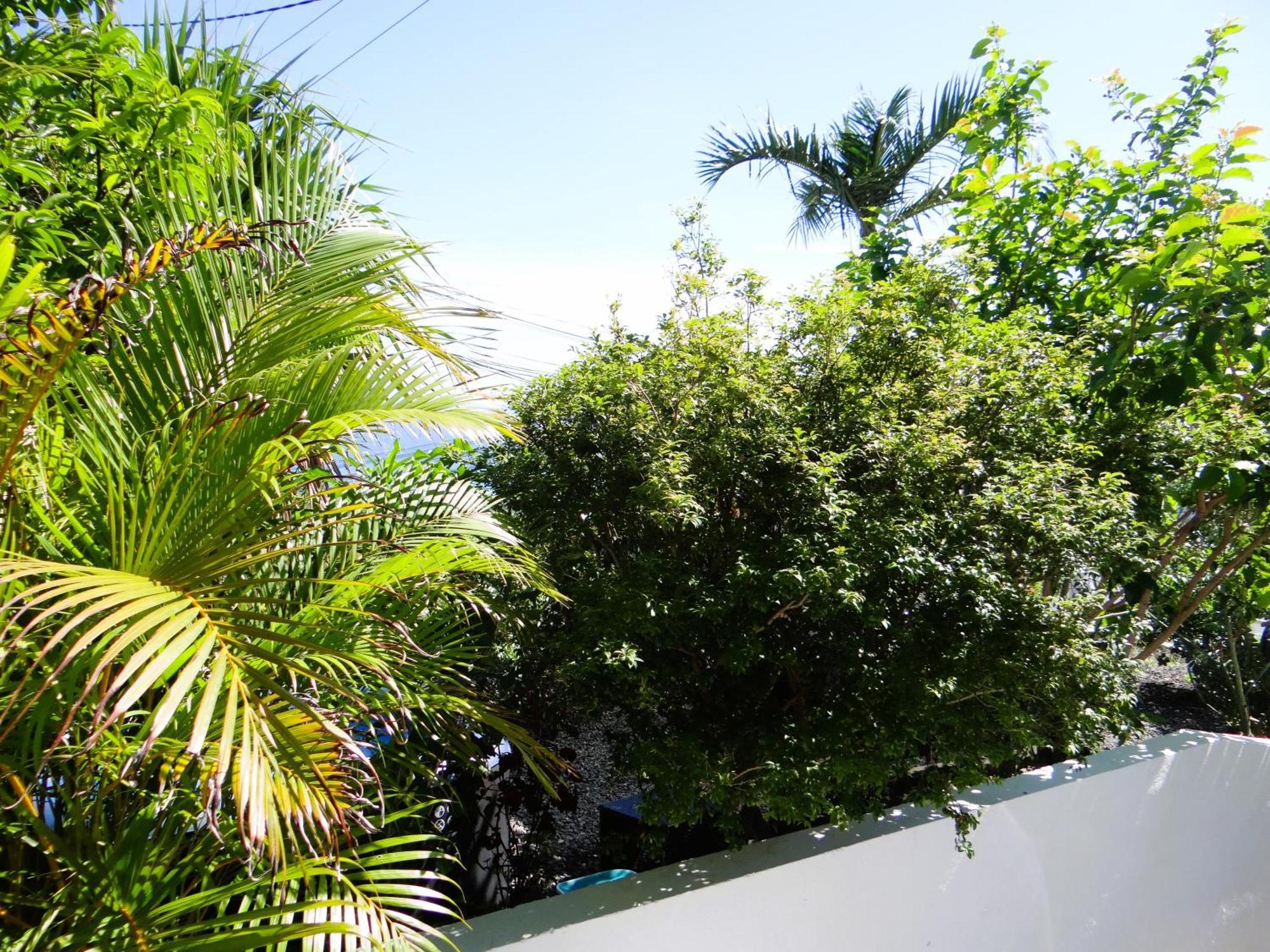 Le Cocon De Madana Apartment Saint-Joseph Bagian luar foto