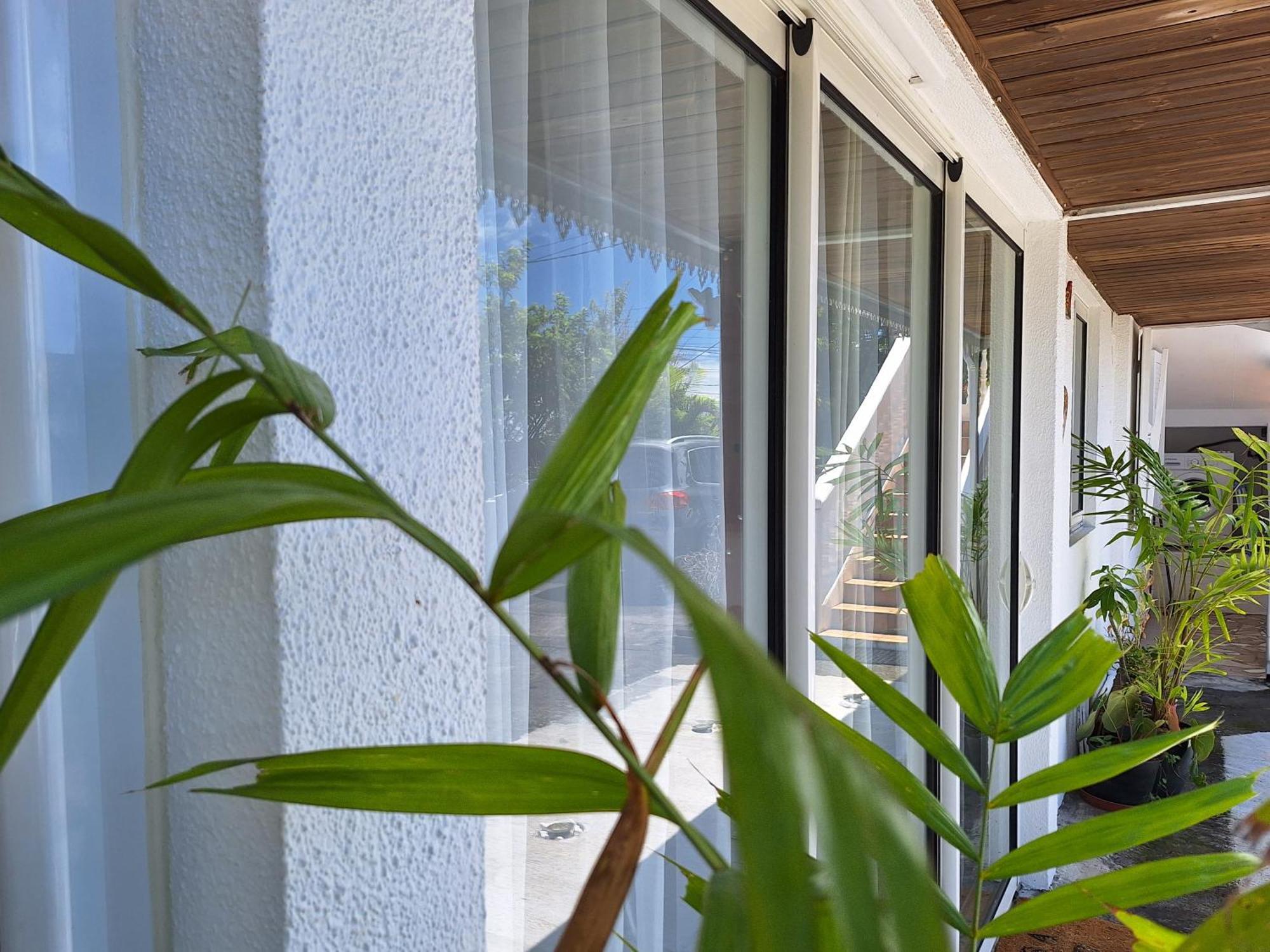 Le Cocon De Madana Apartment Saint-Joseph Bagian luar foto